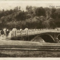 Piatra-N. Podul peste Bistriţa