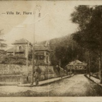 Piatra-N. - Villa Dr. Flora